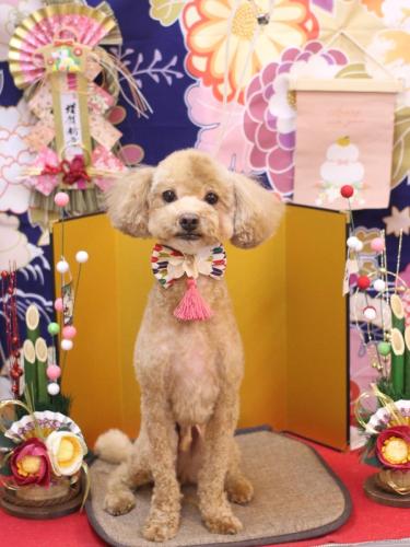 20240107おでんくん